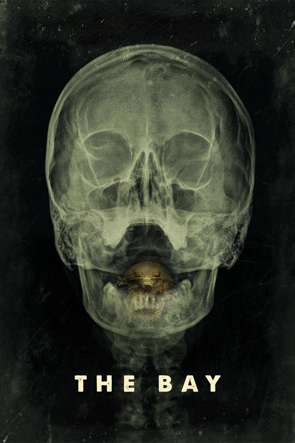 The Bay (2012) [165824] (A1776547565) [[Films]] --Plex--